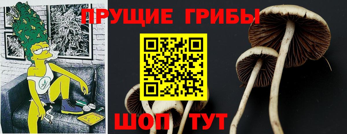 Кумертау  Псилоцибиновые грибы прущие грибы  Вход с VPN 